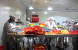 Cụm công nghiệp Ea Đar (huyện Ea Kar): Siết chặt công tác phòng, chống dịch COVID-19