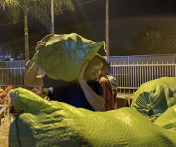 Chương trình "Chuyến xe nghĩa tình" huy động trên 24 tấn rau, củ hỗ trợ người dân TP. Hồ Chí Minh