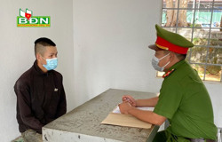 Đắk Mil bắt nhanh 2 đối tượng nghiện ma túy trộm 3 cây mai cảnh