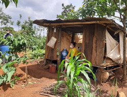 Ra rẫy... cách ly