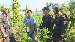 Tăng cường công tác phòng, chống tội phạm và tệ nạn ma túy