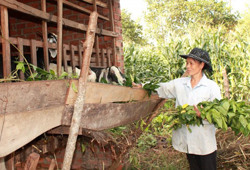 Hội LHPN huyện Ea Kar: Trao 30 triệu đồng vốn hỗ trợ phụ nữ khởi nghiệp