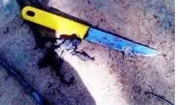 Mâu thuẫn trong lúc ăn nhậu, đâm bạn tử vong