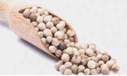 Giá tiêu hôm nay 19/8: Dự báo sẽ còn tiếp tục tăng