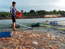 Gỡ khó cho nông sản vùng dịch ở Cư Kuin