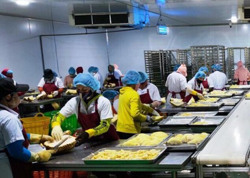 Hỗ trợ doanh nghiệp đưa nhân công, kỹ thuật đến huyện Krông Pắc thu mua, xuất khẩu sầu riêng