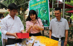 Kết nối tiêu thụ sản phẩm cho các hợp tác xã