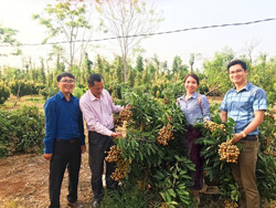Nông dân Cư M’gar chủ động áp dụng khoa học kỹ thuật vào sản xuất