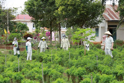 Thành lập khu cách ly y tế tập trung và khu điều trị bệnh nhân COVID-19 cho người bị tạm giam, tạm giữ và phạm nhân thuộc quản lý của Công an tỉnh