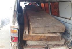 Vụ "Chủ tịch xã bắt gỗ lậu về biếu cán bộ": 80 lóng gỗ về vườn Phó chủ tịch huyện