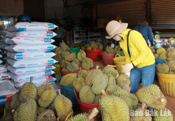 Nỗ lực "khơi thông" vụ sầu riêng 2021