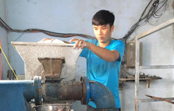 Chàng trai 9X phát triển nghề làm bún của gia đình