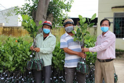Trao tặng gần 1.400 cây giống cho người dân xã Buôn Triết