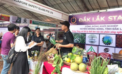 Những thanh niên làm nông nghiệp thuận theo tự nhiên