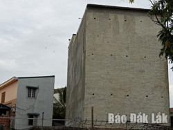 Quy định vùng chăn nuôi và vùng nuôi chim yến trên địa bàn Đắk Lắk