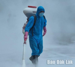 Buôn Đôn xuất hiện thêm một ổ dịch tả heo Châu Phi