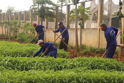 UBND tỉnh ban hành kế hoạch xử lý tình huống khi dịch COVID-19 xảy ra tại Cơ sở điều trị, cai nghiện ma túy