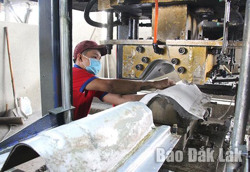 Nới rộng các khoản vay được hỗ trợ do ảnh hưởng bởi dịch bệnh COVID-19