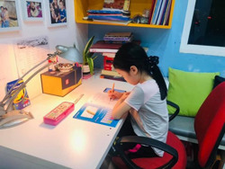 Không kiểm tra, đánh giá định kỳ học sinh lớp 1, 2 khi học qua truyền hình hoặc trực tuyến