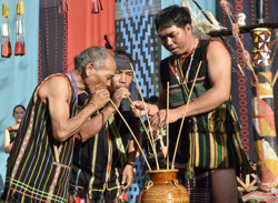 Cây đa - chứng nhân cho lời giao kết của người M’nông