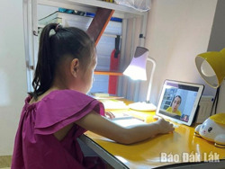 Vui, buồn chuyện học, chuyện làm online