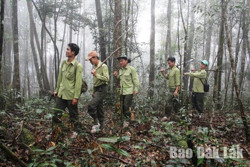 Phát động cuộc thi “Tìm kiếm giải pháp, sáng kiến trong công tác quản lý, bảo vệ, sử dụng và phát triển rừng”