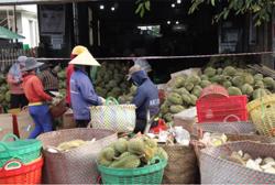 Đăk Nông ban hành kế hoạch hỗ trợ tiêu thụ nông sản cho người dân