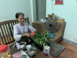 Chật vật mưu sinh mùa dịch