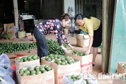 Huyện Krông Búk: Tạm dừng hoạt động kinh doanh, mua bán nông sản từ ngày 16-9