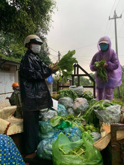 Thân thương “Biệt đội giải cứu heo, bò”