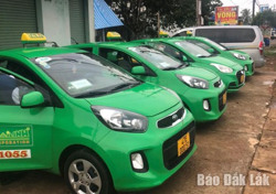 Doanh nghiệp vận tải “ngóng chờ” tiêm vắc xin COVID-19 cho người lao động