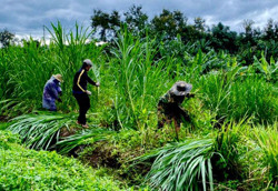 Để bà con yên tâm chống dịch