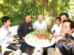 Từ “kho báu” dược liệu Tây Nguyên…