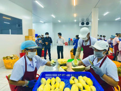 Huyện Krông Pắc:Tiếp tục siết chặt công tác phòng, chống dịch bệnh COVID-19