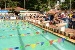 Đăk Lắk không đăng cai tổ chức Giải Bơi và lặn vận động viên quốc gia năm 2021