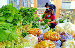 Phường Tân Thành (TP. Buôn Ma Thuột): Hỗ trợ lương thực, thực phẩm cho hơn 300 hộ dân có hoàn cảnh khó khăn