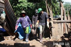 Huyện Ea Súp tiêu hủy 158 con heo mắc bệnh dịch tả heo châu Phi