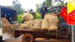 Hỗ trợ thức ăn chăn nuôi ở khu vực bị phong tỏa