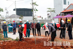 Giai đoạn 2021-2025 toàn tỉnh sẽ trồng hơn 495.000 cây xanh tại khu vực đô thị