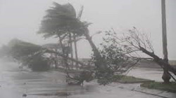 Bão Conson di chuyển theo hướng Tây Bắc, sẽ vào biển đông trong ngày mai