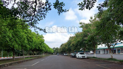 TP. Buôn Ma Thuột tiếp tục thực hiện phát phiếu đi chợ cho người dân