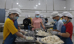 Khởi nghiệp trên quê hương