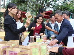 Hợp tác xã cần được “tiếp sức” để vượt qua đại dịch