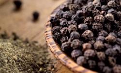 Giá hạt tiêu xuất khẩu năm nay sẽ tiếp tục ở mức cao