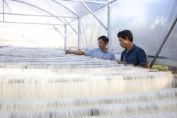 Làng nghề tất bật vào vụ Tết