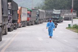 Khai thác hiệu quả thị trường nội địa