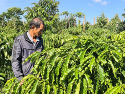 Trưởng thôn năng nổ, làm kinh tế giỏi