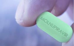 Kiểm tra việc kinh doanh thuốc Molnupiravir điều trị Covid-19