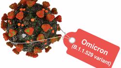 Omicron: nguy cơ tử vong giảm 90% so với Delta, nhập viện giảm một nửa