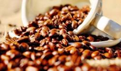 Giá cà phê hôm nay 13/1: Tiếp tục đà tăng nhẹ